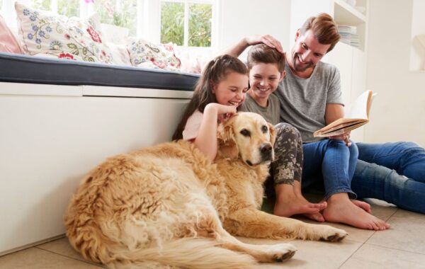 Looking for a Family Home in Bristol? Here’s What to Consider
